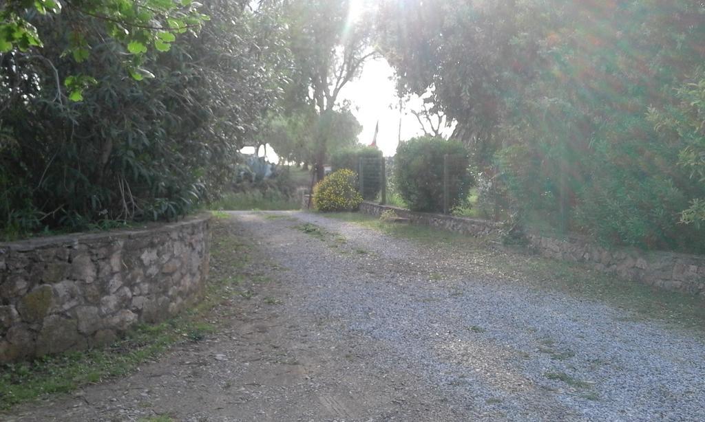 La Palma Villa Magliano in Toscana Exterior photo