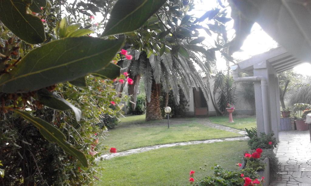 La Palma Villa Magliano in Toscana Exterior photo